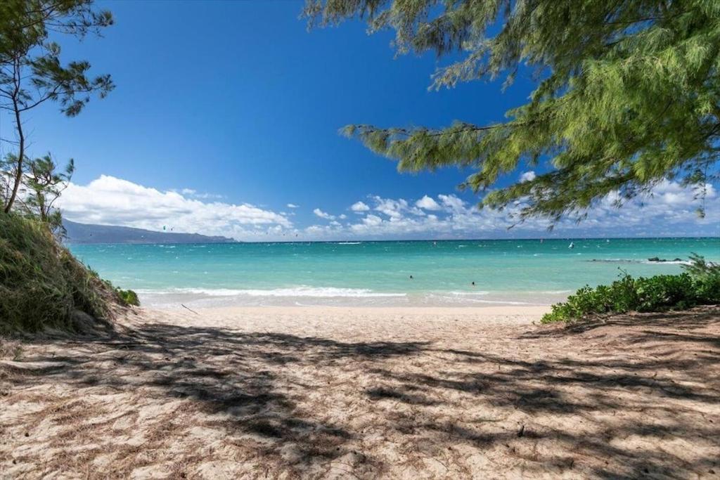 Unit 19 Maui Ohana Modern Studio 와일루쿠 외부 사진