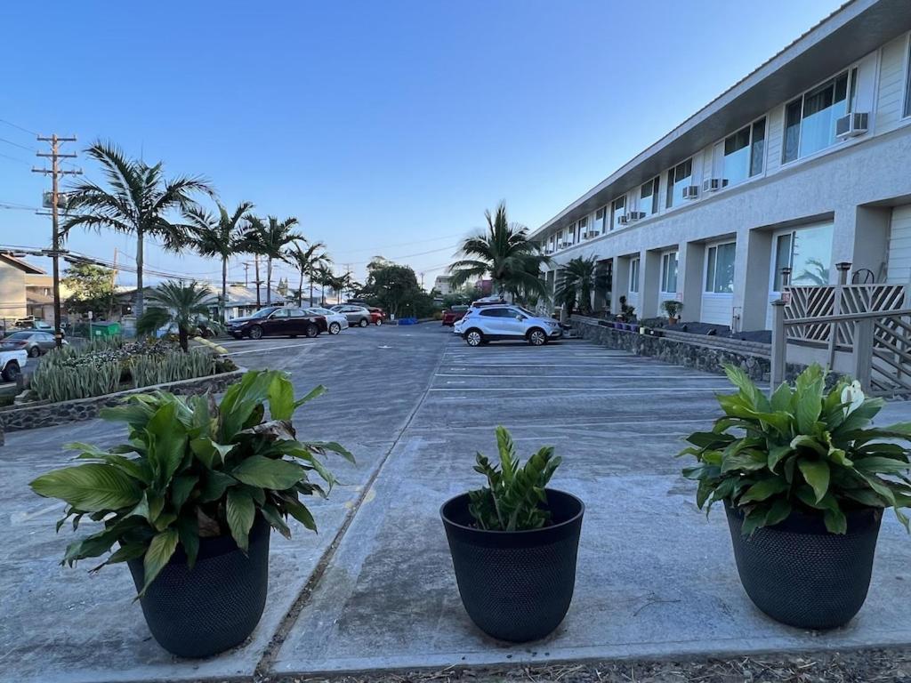 Unit 19 Maui Ohana Modern Studio 와일루쿠 외부 사진