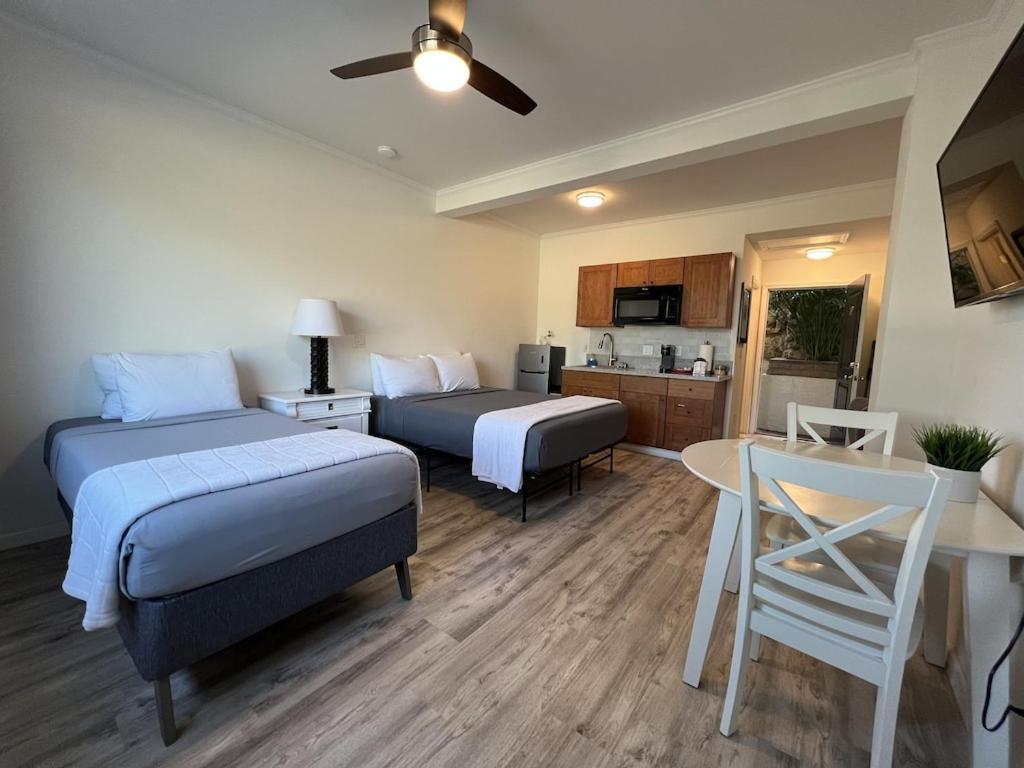 Unit 19 Maui Ohana Modern Studio 와일루쿠 외부 사진
